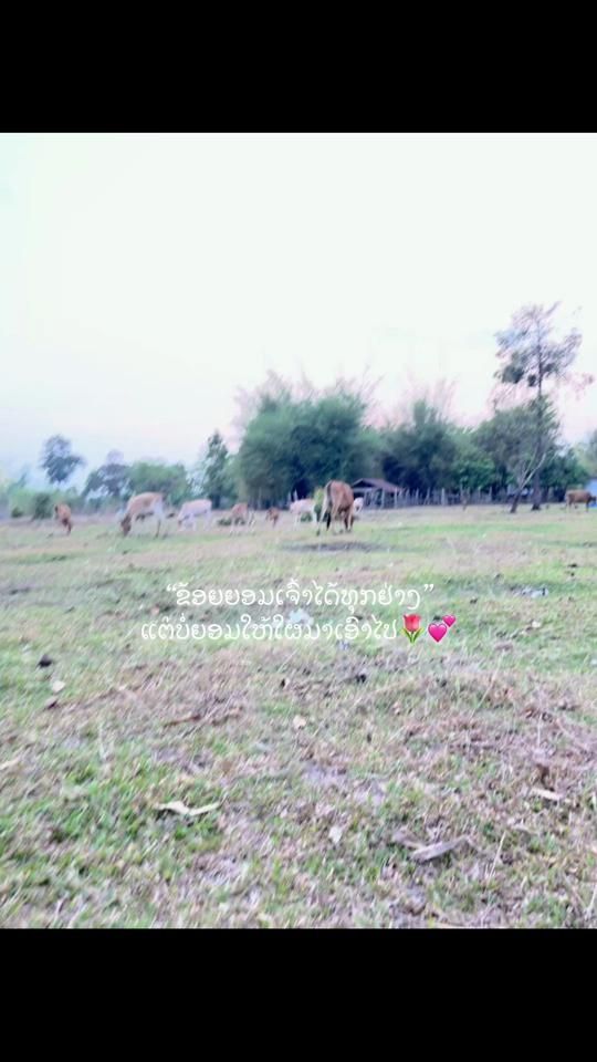 TikTok video thumbnail by kar.449