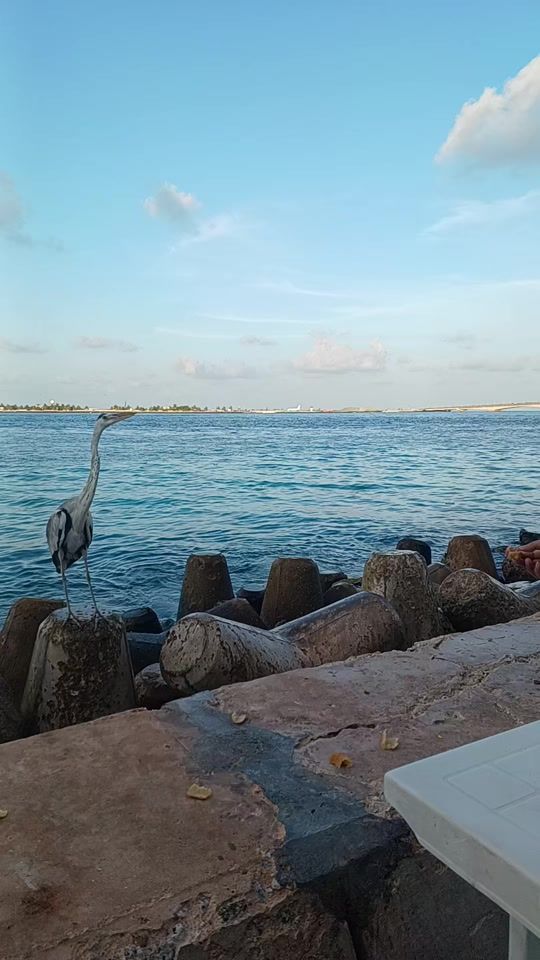 TikTok video thumbnail by mumtaj6727
