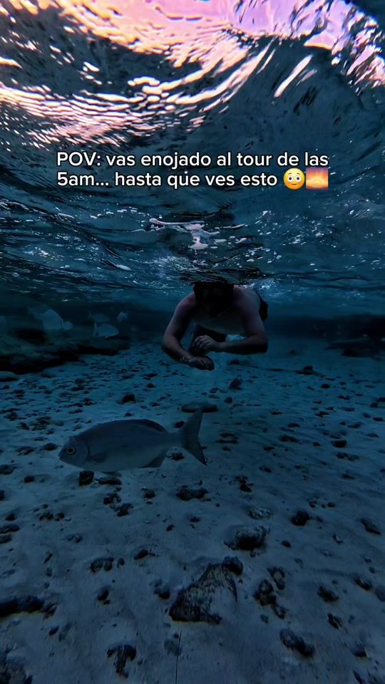 TikTok video thumbnail by unrodcas