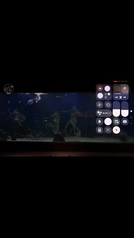 TikTok video thumbnail by chenhsi.lu