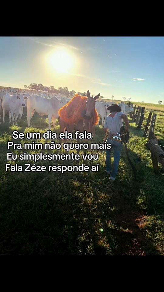 TikTok video thumbnail by adriano.furtado8