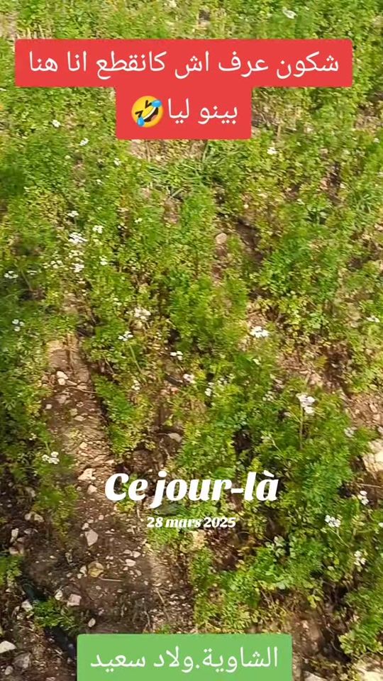 TikTok video thumbnail by abdo.daoudi7