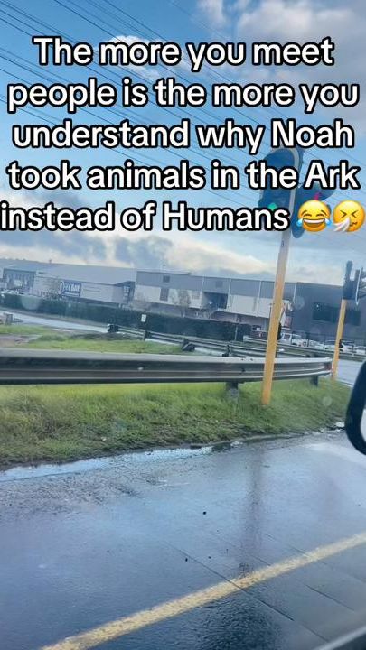 TikTok video thumbnail by amandamandy95