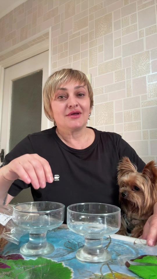TikTok video thumbnail by edikovna01