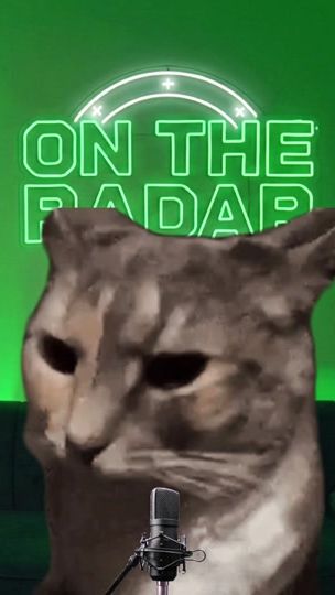 TikTok video thumbnail by cats_vedios