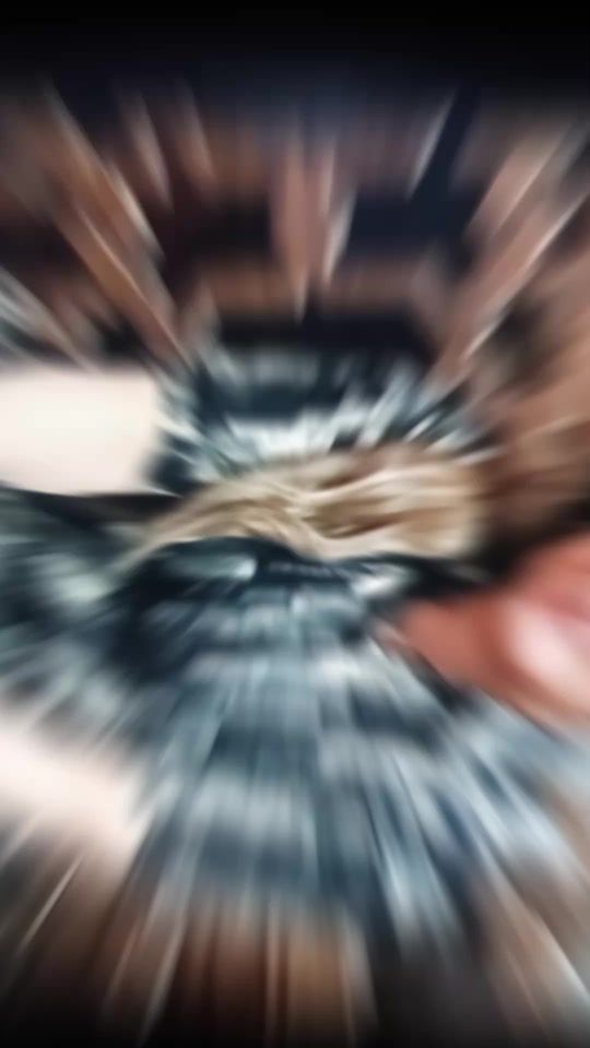 TikTok video thumbnail by v.i.v.m.a.r.c.o