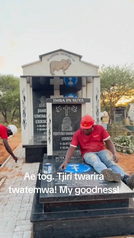 TikTok video thumbnail by fauna73
