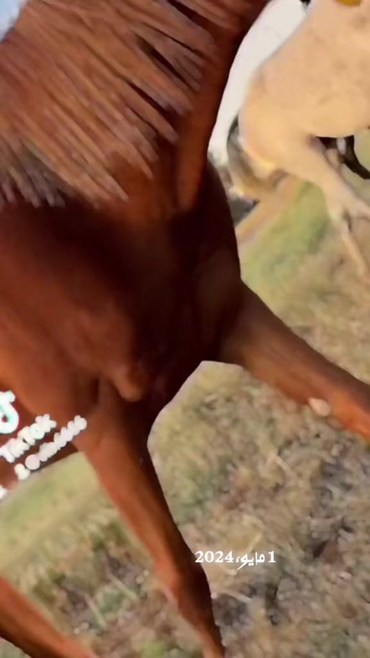 TikTok video thumbnail by vib.6666