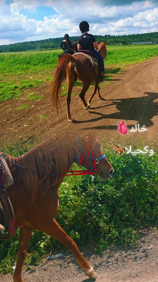 TikTok video thumbnail by tawfeek.abood