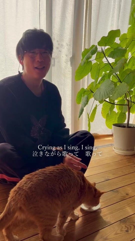 TikTok video thumbnail by shabosing