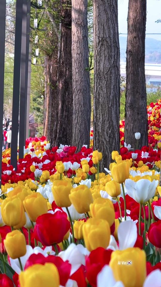 TikTok video thumbnail by usrname_alvin