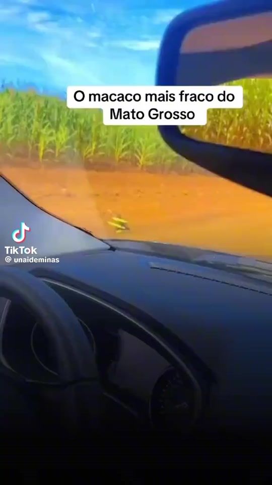 TikTok video thumbnail by everalvarez96