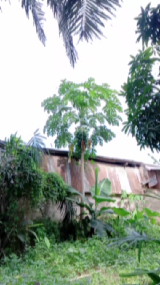 TikTok video thumbnail by benedith.besongo0