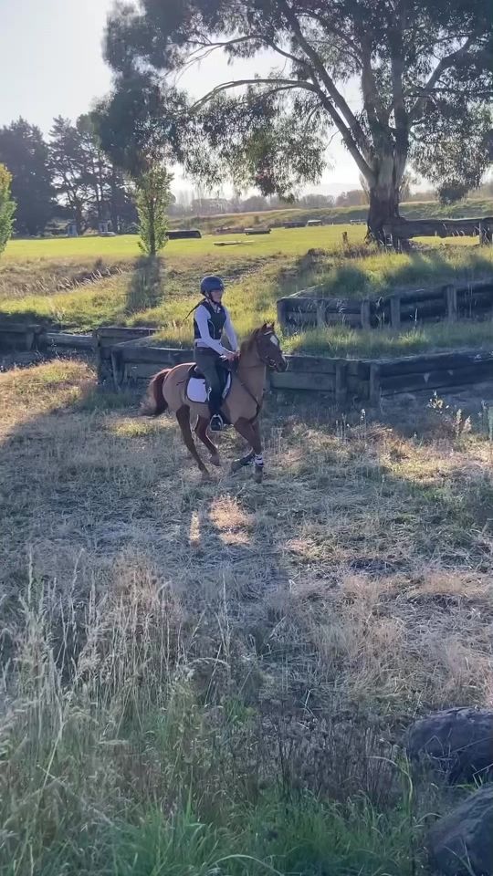 TikTok video thumbnail by ginger.theponyequestrian