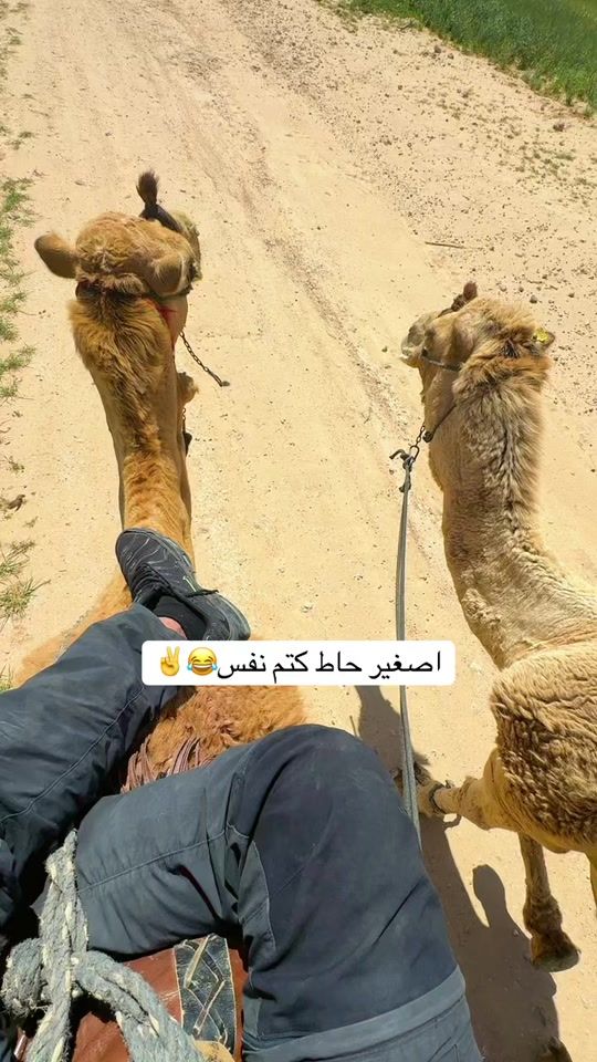 TikTok video thumbnail by cnncv34