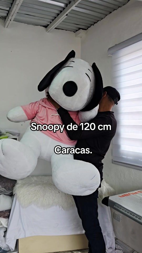 TikTok video thumbnail by cositaslindast