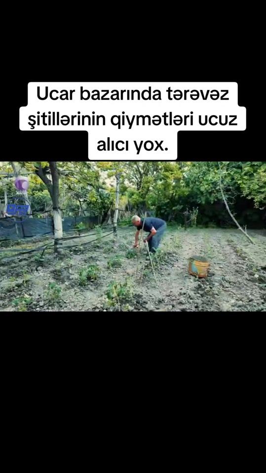 TikTok video thumbnail by ucar_es