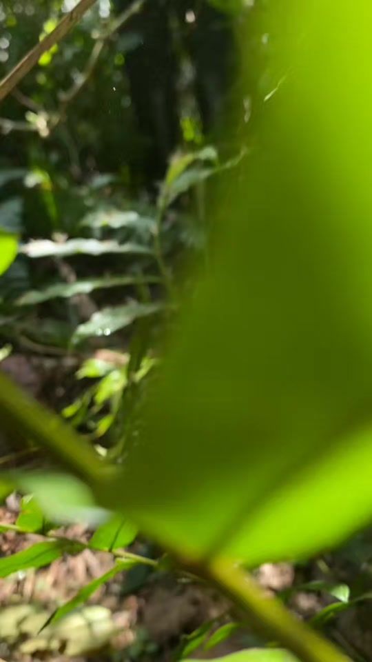 TikTok video thumbnail by mudizi.filare