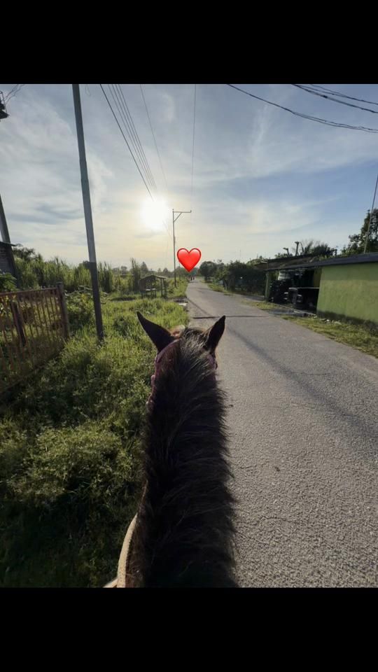 TikTok video thumbnail by piti_49