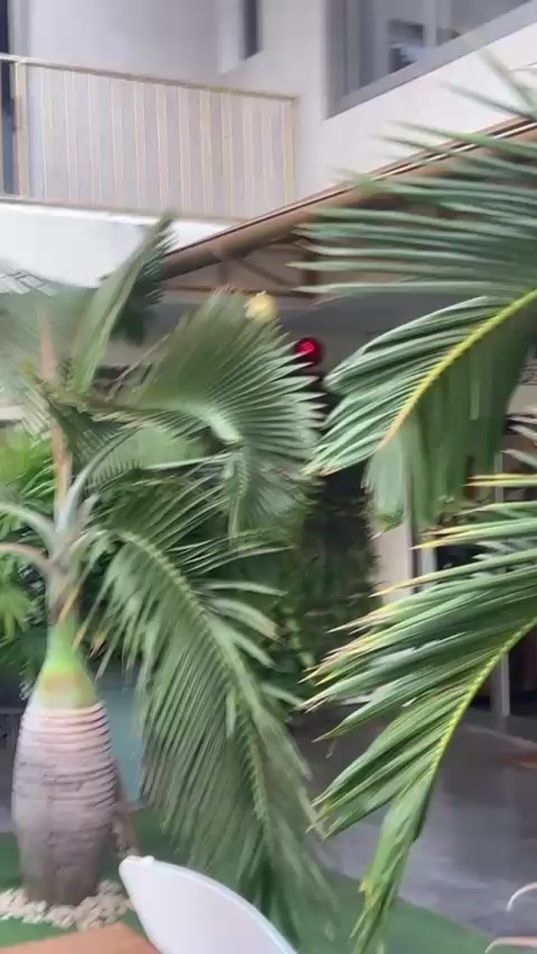 TikTok video thumbnail by rodi0985