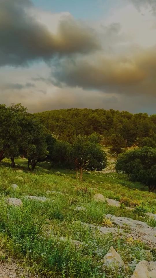 TikTok video thumbnail by shgerat00