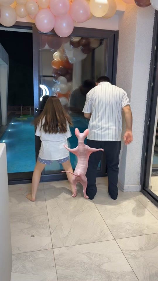 TikTok video thumbnail by eslem_ve_yusuf_tv