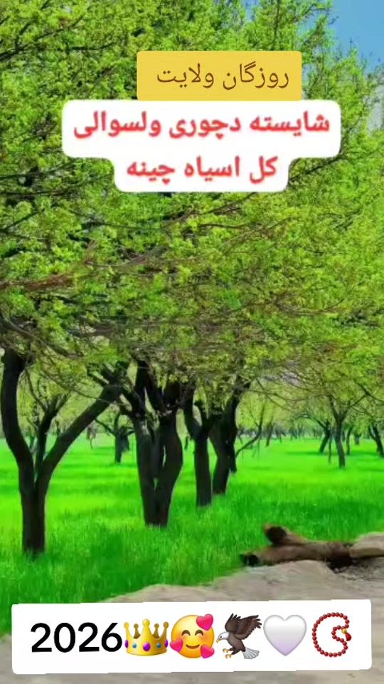 TikTok video thumbnail by matinjan111