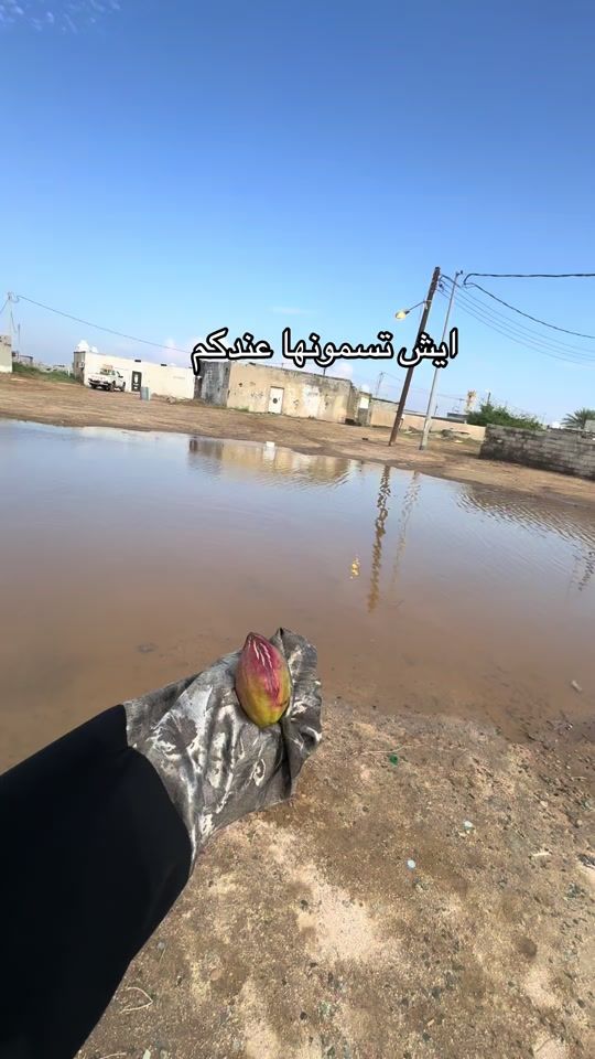 TikTok video thumbnail by ahd.za57