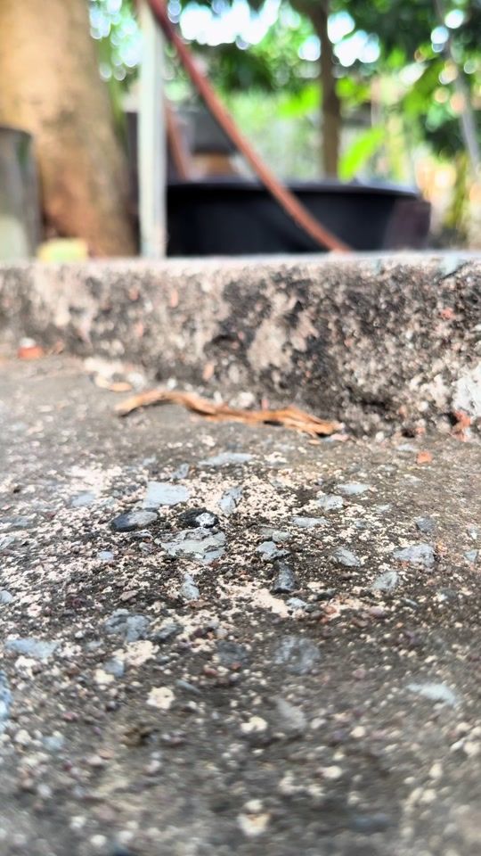 TikTok video thumbnail by ew.mychai