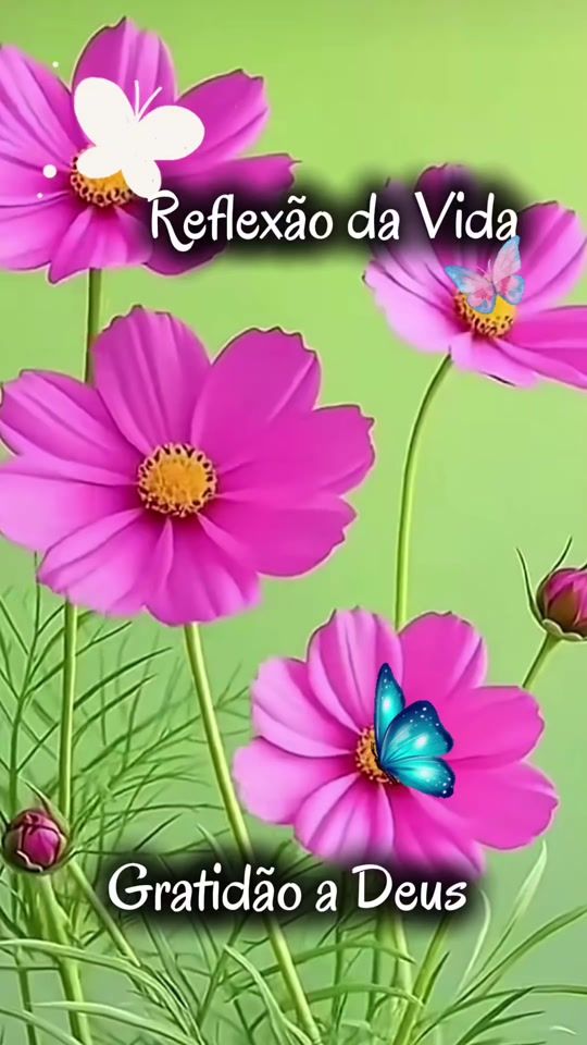 TikTok video thumbnail by adinaldamatte