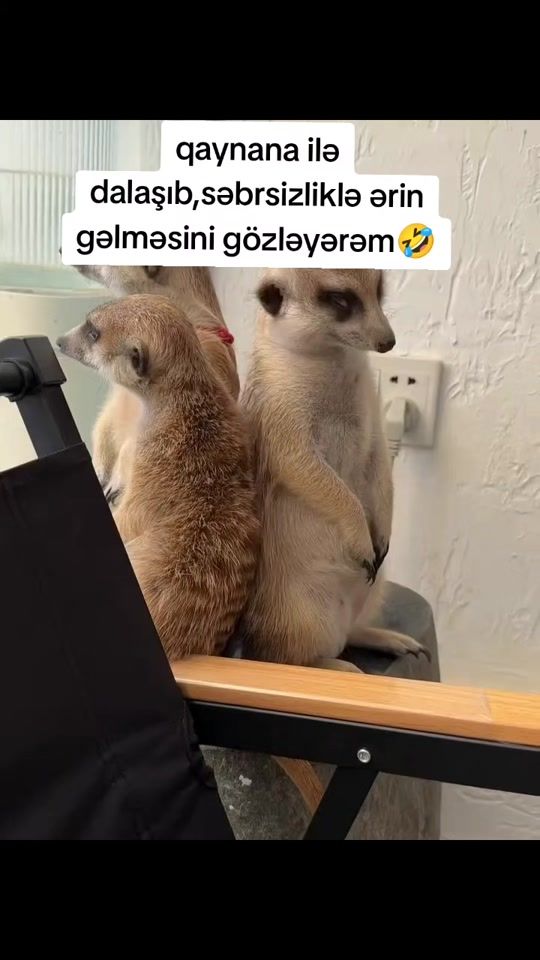 TikTok video thumbnail by asan._lady
