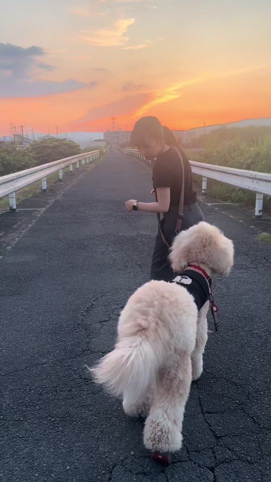 TikTok video thumbnail by ket.0201