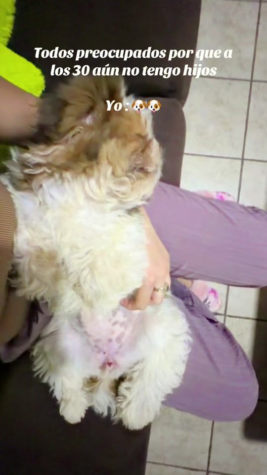 TikTok video thumbnail by michellmohammed6