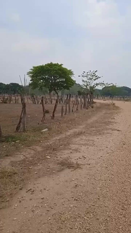 TikTok video thumbnail by carlettignacio