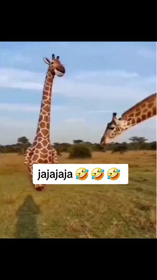 TikTok video thumbnail by maitaylird