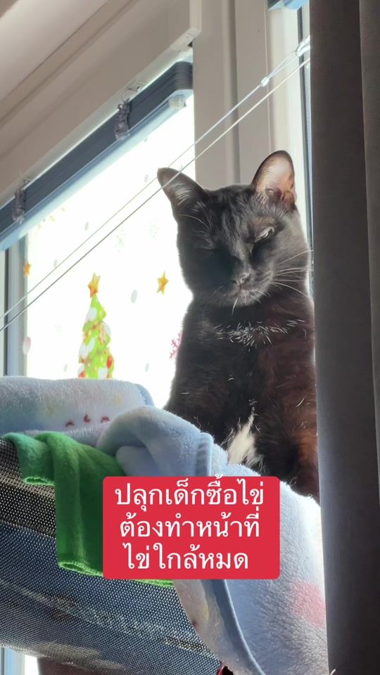 TikTok video thumbnail by dammyblackcat1