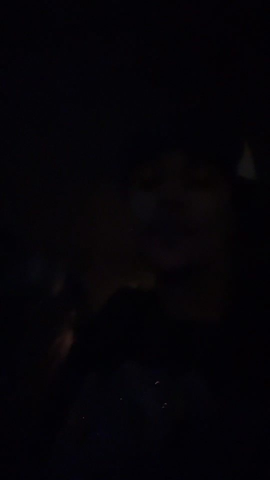 TikTok video thumbnail by soy.bebooo