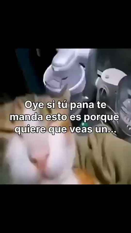 TikTok video thumbnail by nelyx55
