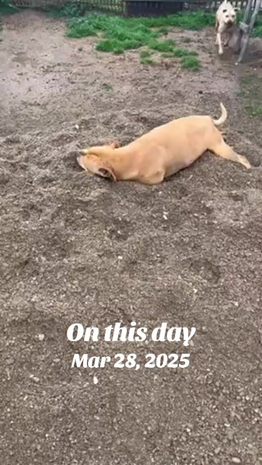 TikTok video thumbnail by tanjajovanovic228