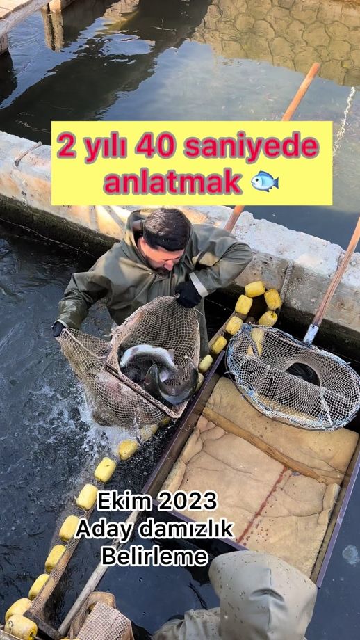 TikTok video thumbnail by alidayibalik