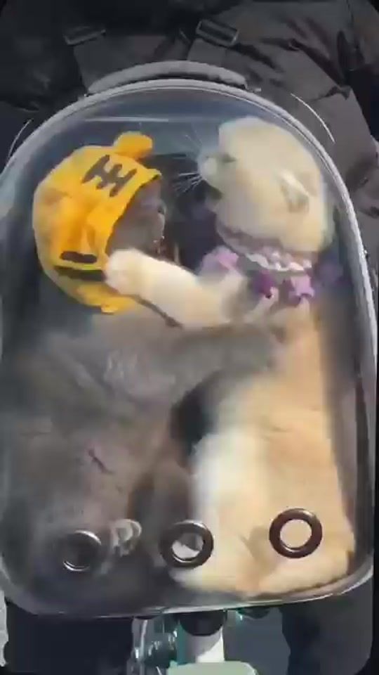 TikTok video thumbnail by _maftunaa_0