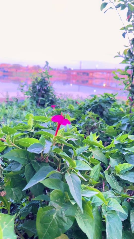 TikTok video thumbnail by m90a90