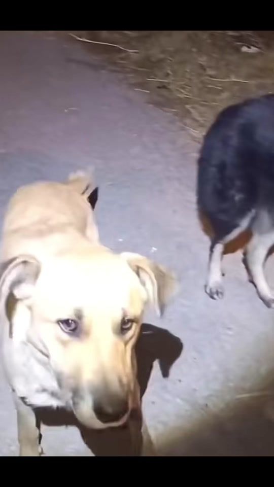 TikTok video thumbnail by alida.odessa