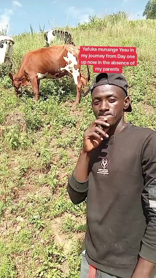 TikTok video thumbnail by asiimwehenryo6