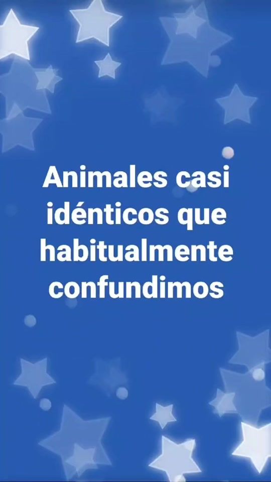 TikTok video thumbnail by beatrizligom64