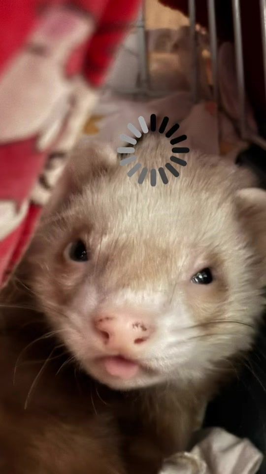 TikTok video thumbnail by oksi.smir