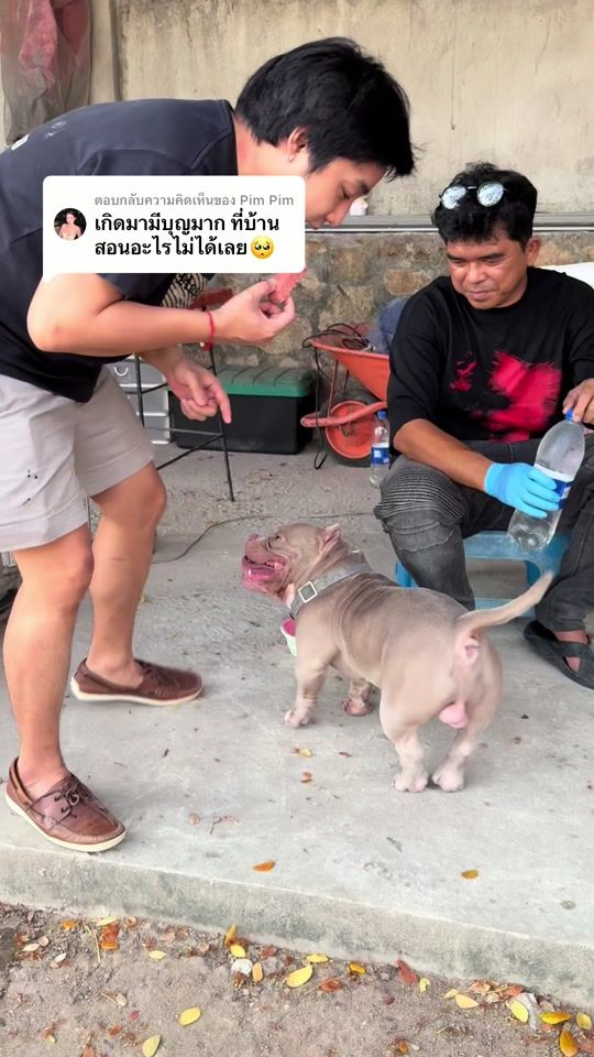 TikTok video thumbnail by matin_chanel