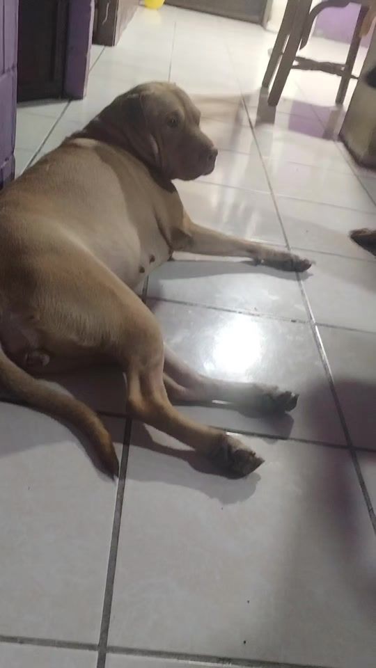 TikTok video thumbnail by estrella.fugaz34