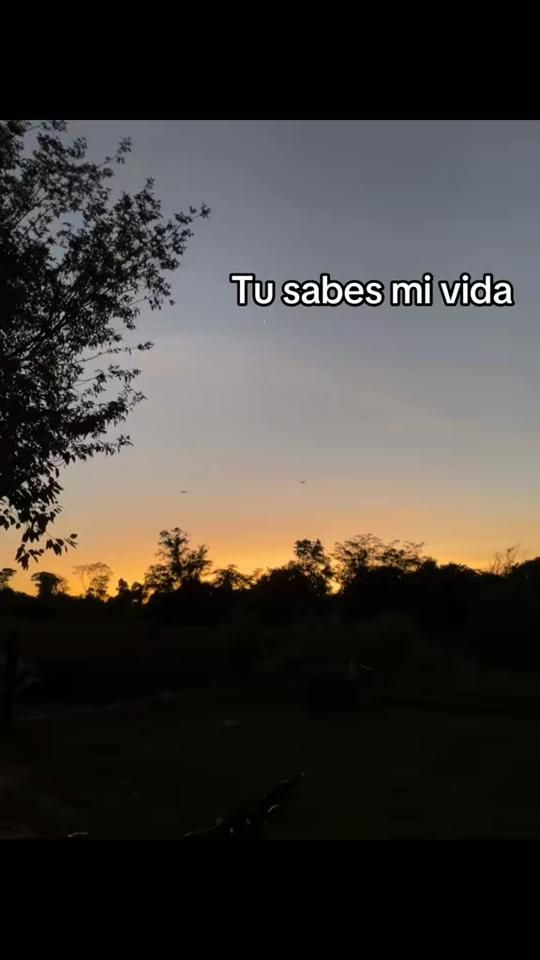 TikTok video thumbnail by rojaseloperfilii