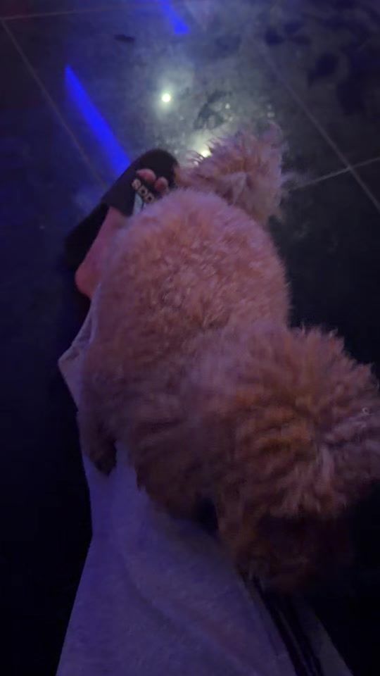 TikTok video thumbnail by mcmxcix_6